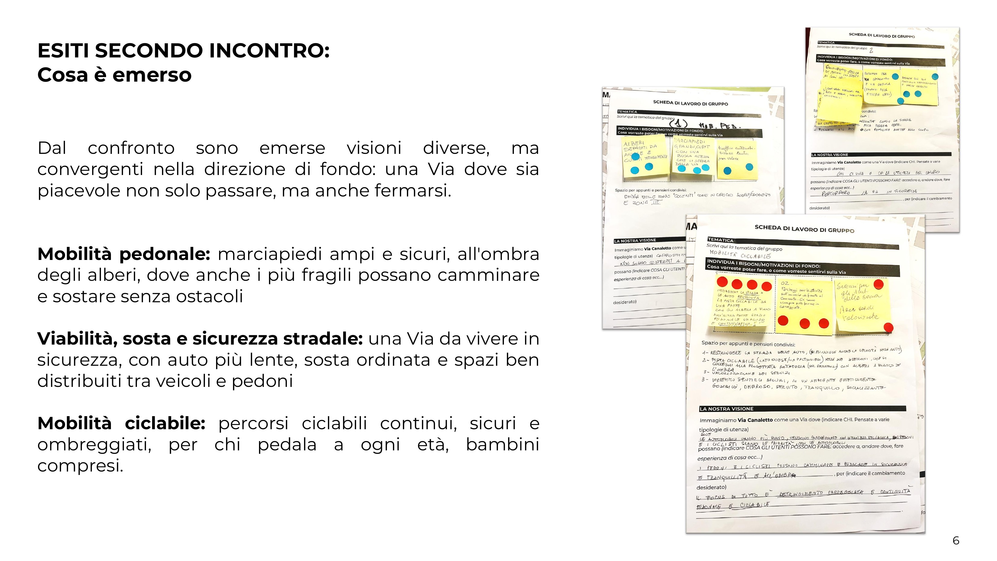 Cosa è emerso